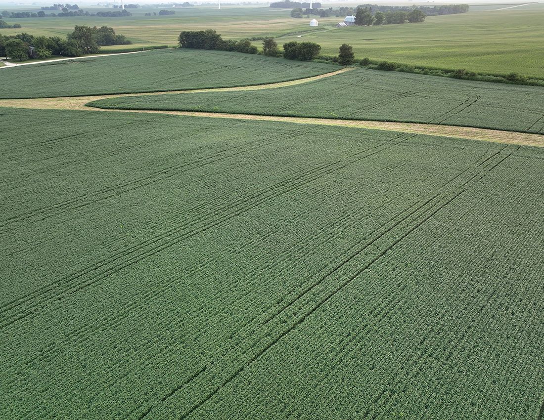 Listing Photo: Lee County Farmland for sale